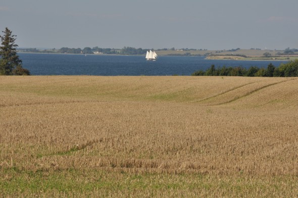 Ballebro sønderborg (65)